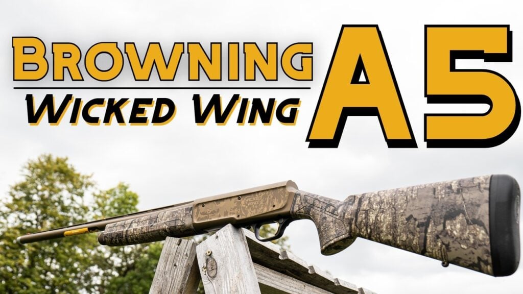 Browning A5 Wicked Wing 12ga Shotgun Review