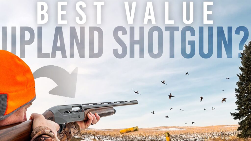 Best Value Semi-Auto for Upland Hunting | Dakota Pheasants