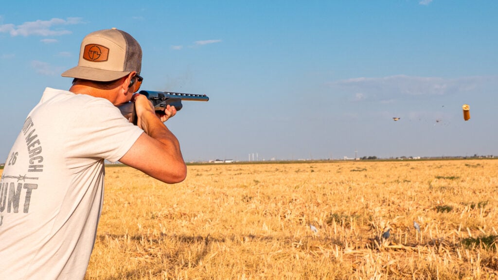 Dove hunting with Retay Ace Paloma